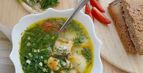 Уха из угря