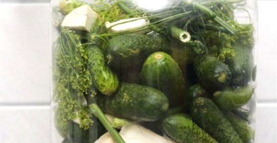 Малосольные огурцы с укропом