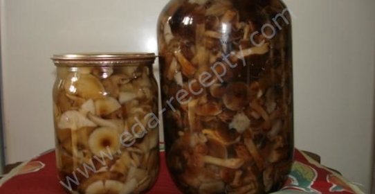 Маринованные опята по-белорусски