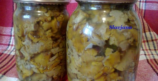 Мамины маринованные лисички
