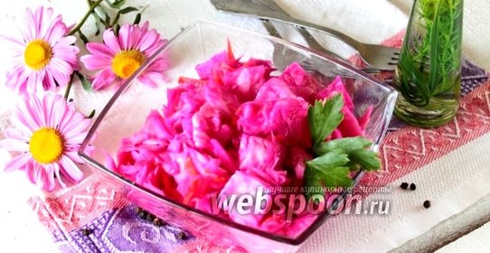 Маринованная капуста со свёклой быстрого приготовления