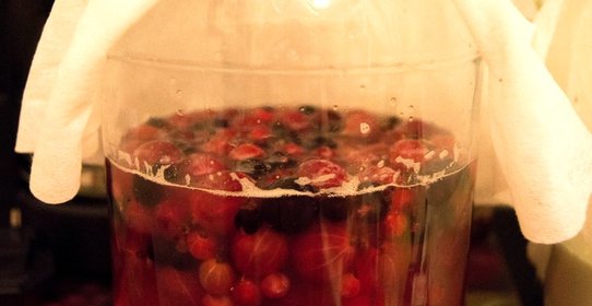 Закваска натуральная для любой выпечки (без покупных дрожжей)