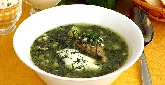 Щи из крапивы