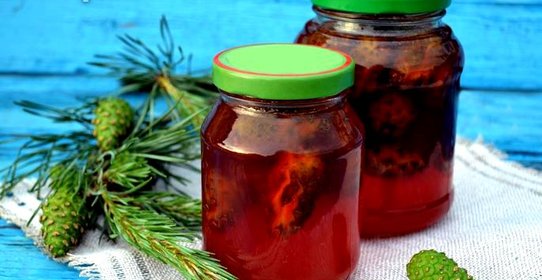 Варенье из сосновых шишек