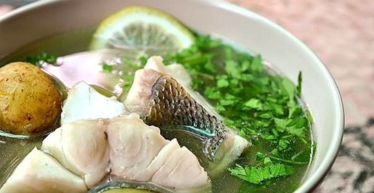 Уха рыбацкая