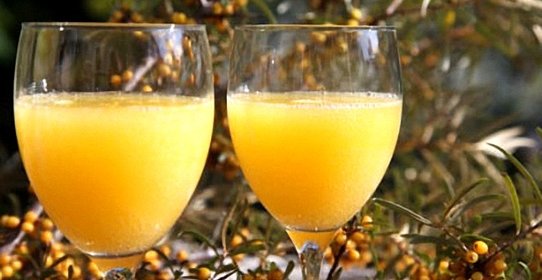 Домашнее вино из облепихи