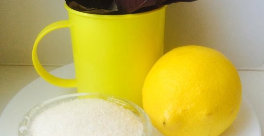 Розовая вода из базилика