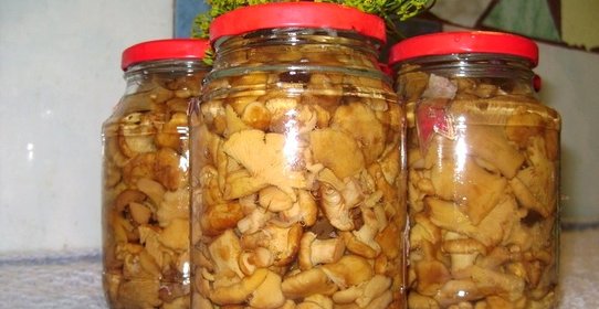 Маринованные грузди жареные