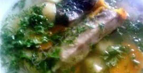 Уха горская из форели с тархуном