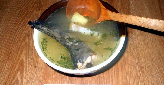 Уха из горбуши