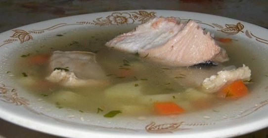 Уха из горбуши