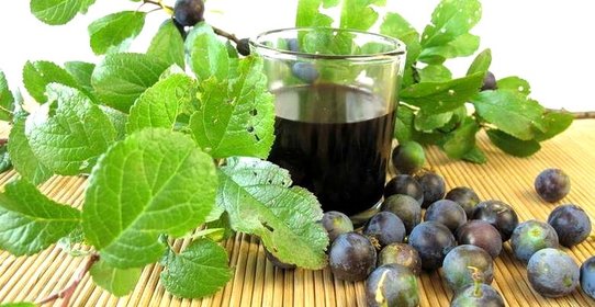 Вино из терновника