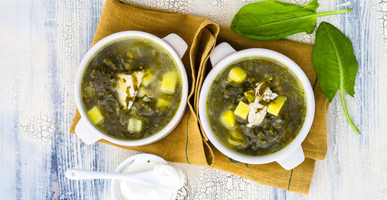 Зеленый борщ с щавелем