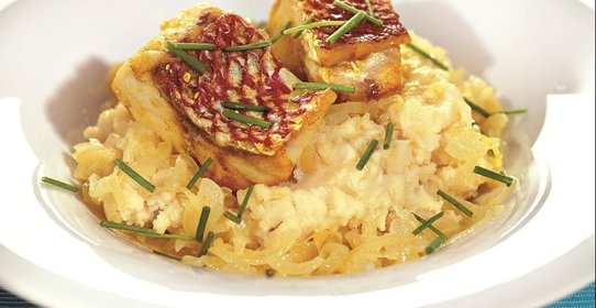 Морской окунь с брандадой и луковым соусом