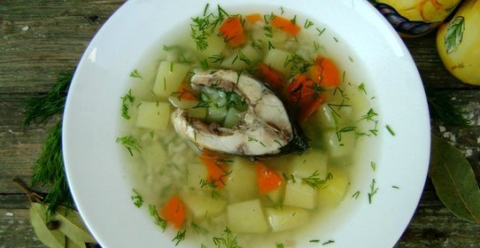 Уха из карпа