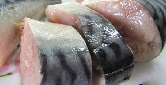 Скумбрия быстрого посола