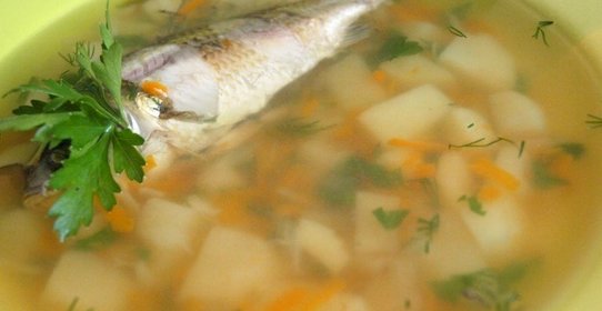 Уха из карася