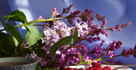 Варенье из лесной малины