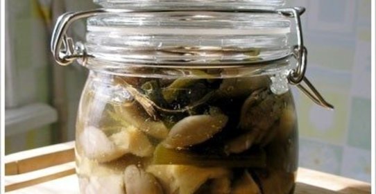 Маринованные вешенки в мультиварке