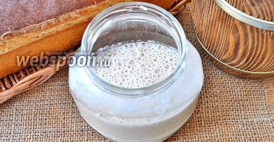 Домашняя закваска на ржаном солоде для хлеба