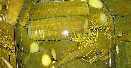 Маринованные огурцы как в магазине на зиму