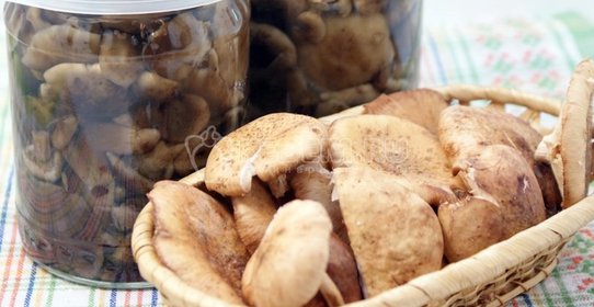 Волынский борщ