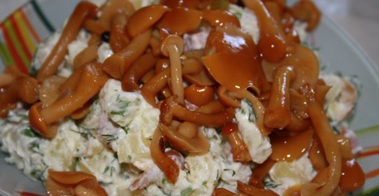 Грибная полянка