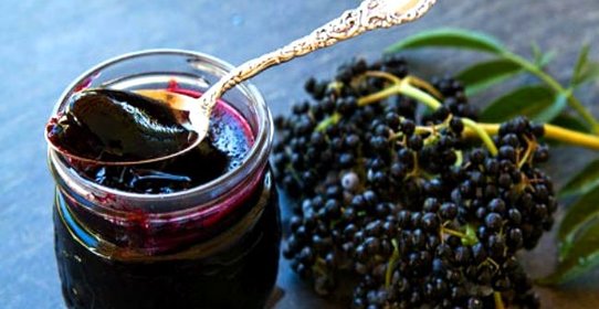 Повидло из бузины
