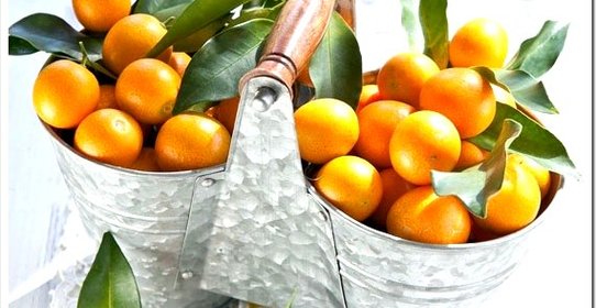 Варенье из кумквата