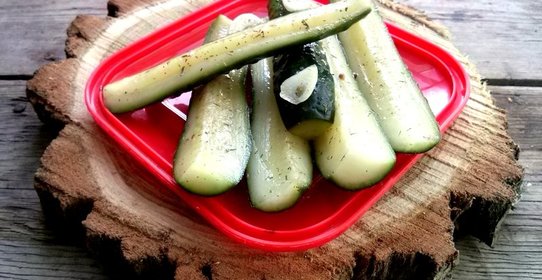 Маринованные огурцы без закатки