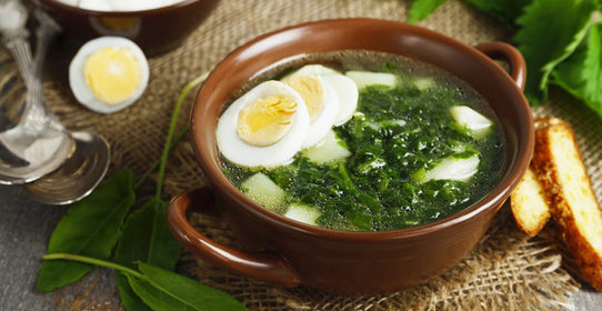 Щи из щавеля