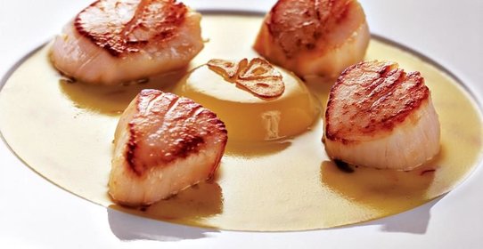Морские гребешки с соусом из шафрана и желе из лайма