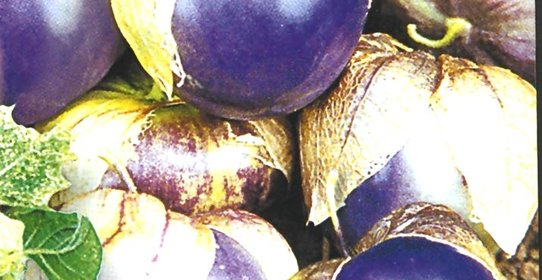 Варенье из сливового физалиса