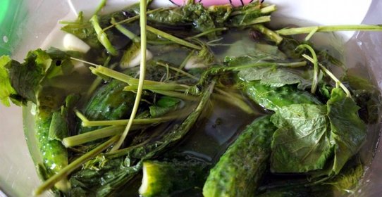 Малосольные огурцы на минералке Суточные