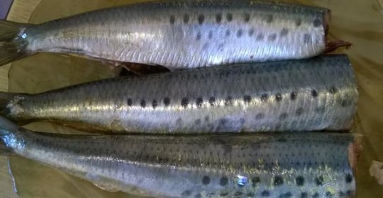 Селедка иваси под шубой