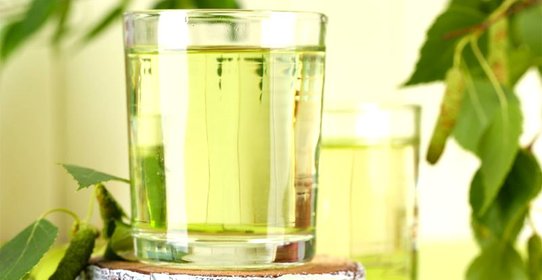 Вино из березового сока без кипячения