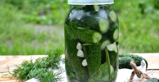 Малосольные огурцы без закатки