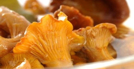 Лисички маринованные