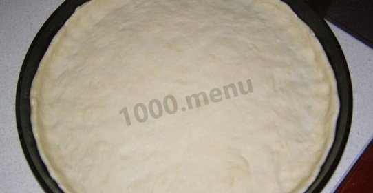 Дрожжевое тесто основа для пиццы в духовке