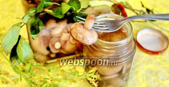 Маслята маринованные с корицей