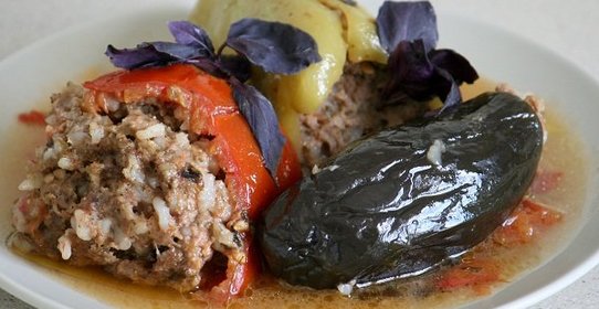 Толма летняя