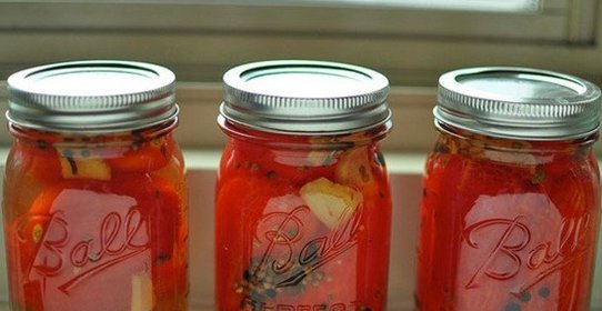 Малосольные помидоры быстрого приготовления на зиму