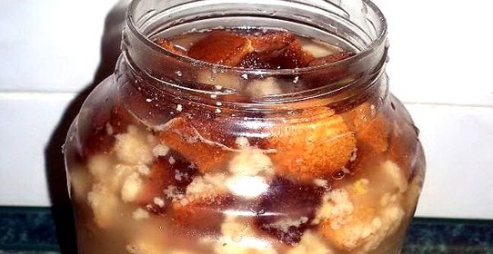 Закваска для кваса