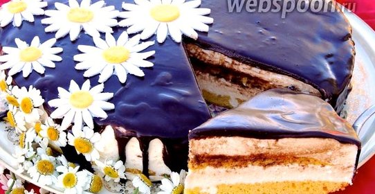 Торт «Птичье молоко»