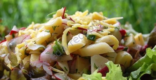 Картофельный салат с редиской и зеленью