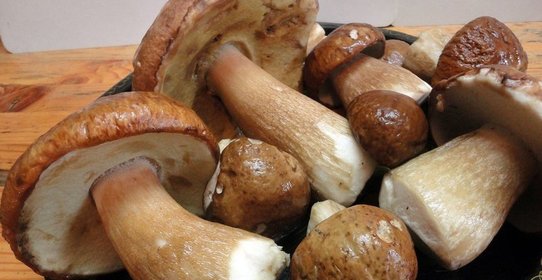 Маринованные белые грибы с чесноком