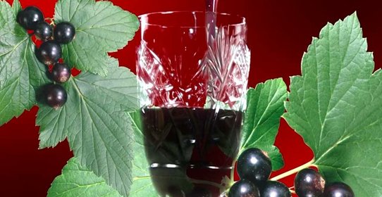 Наливка из черной смородины