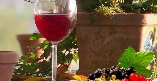 Домашнее ягодное вино из ягод