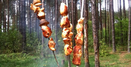 Куриный шашлык с уксусом и луком