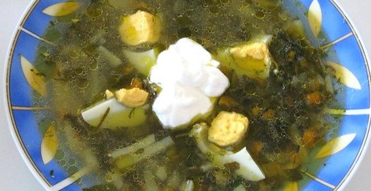 Щи из щавеля на курином бульоне